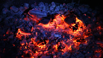 Coal