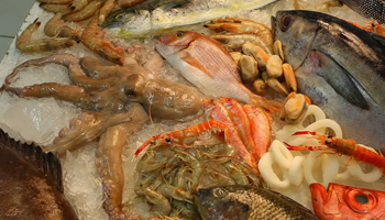 Fish (Certified Halaal Supplier)