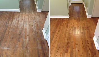 Floor Polish