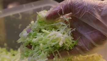 Food Gloves