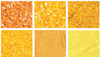 Maize Products