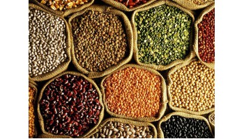 Lentils
